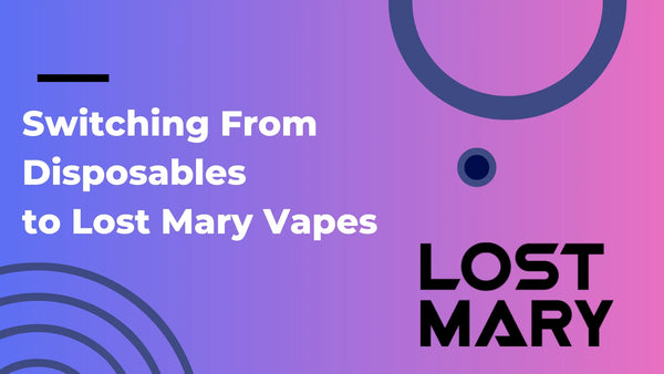 Switching From Disposables to Lost Mary Vapes